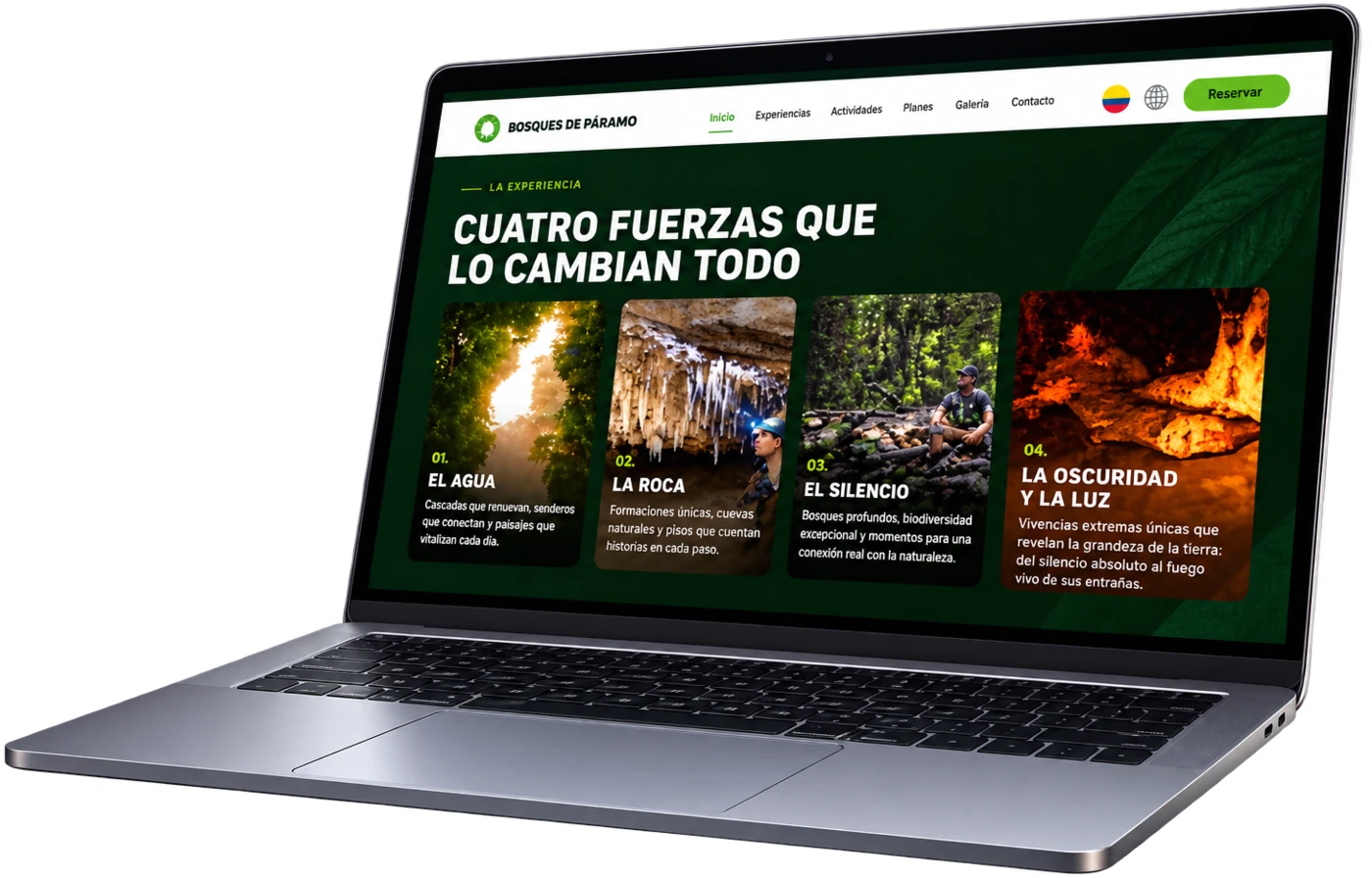 Sitio web de Bosques de Pandora en computador portátil