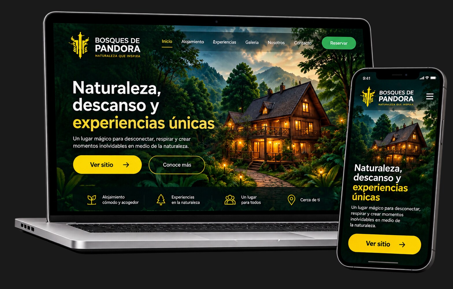Página web profesional System Fénix